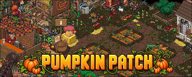 🎃 Pumpkin Picking, Prizes & Patch Rivalries!