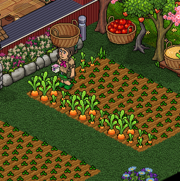 🪴 Plant Health Day Sprouts in DuckyWood! 🌱