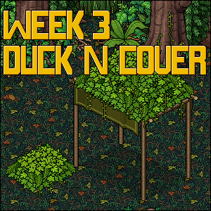 🏕️ Week 3: Duck N' Cover