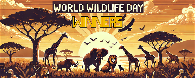 World Wildlife Day: Celebrating Our Duckywood Champions!