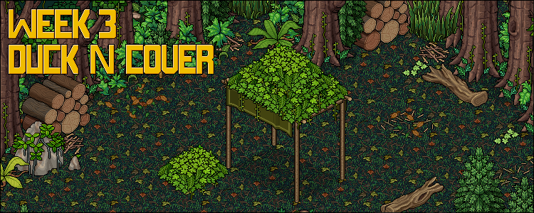 🏕️ Week 3: Duck N' Cover