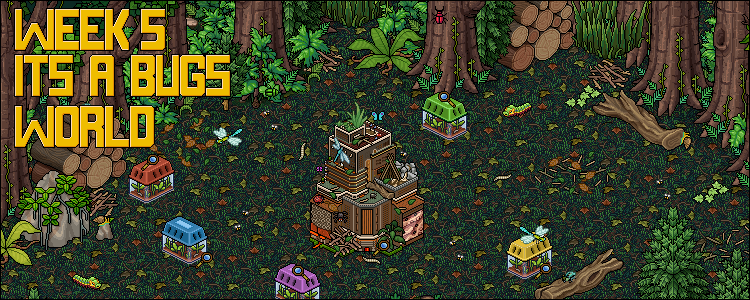 🐛 Week 5: It's A Bug’s World