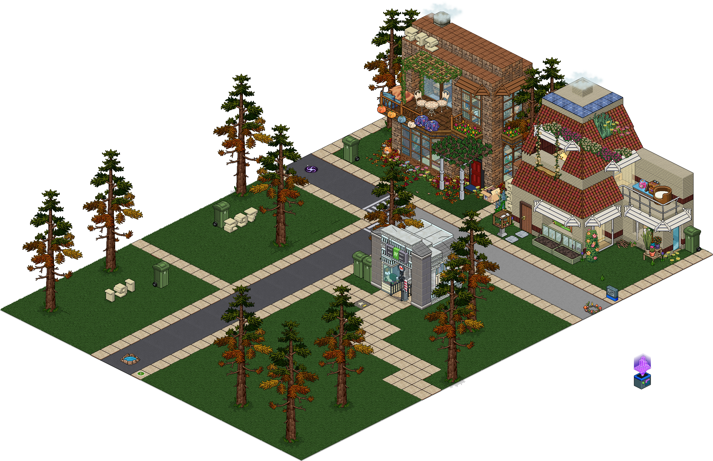 Autumnal Cedar Road