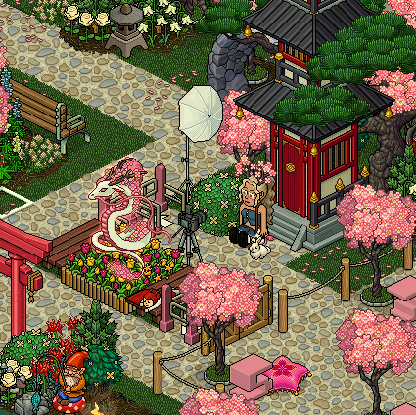 #CherryBlossonFestival2025