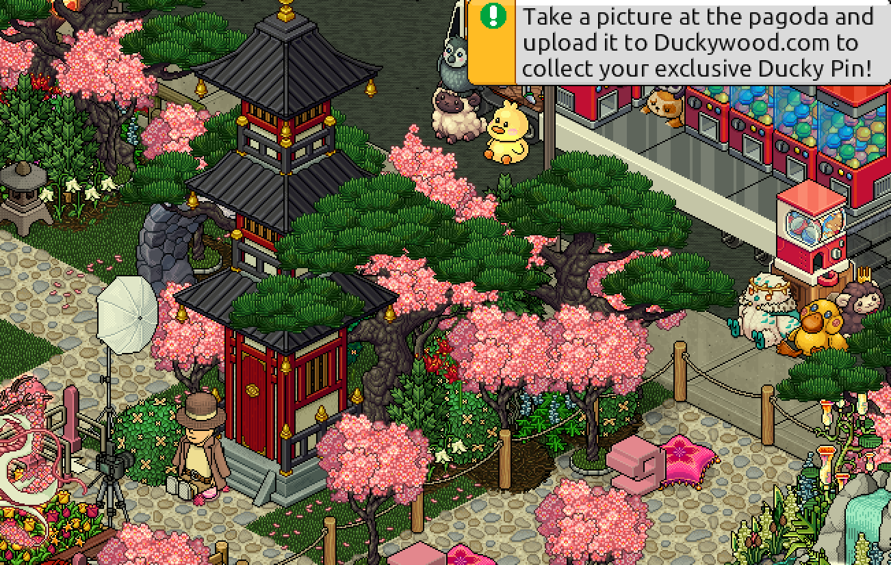 #CherryBlossomFestival2025