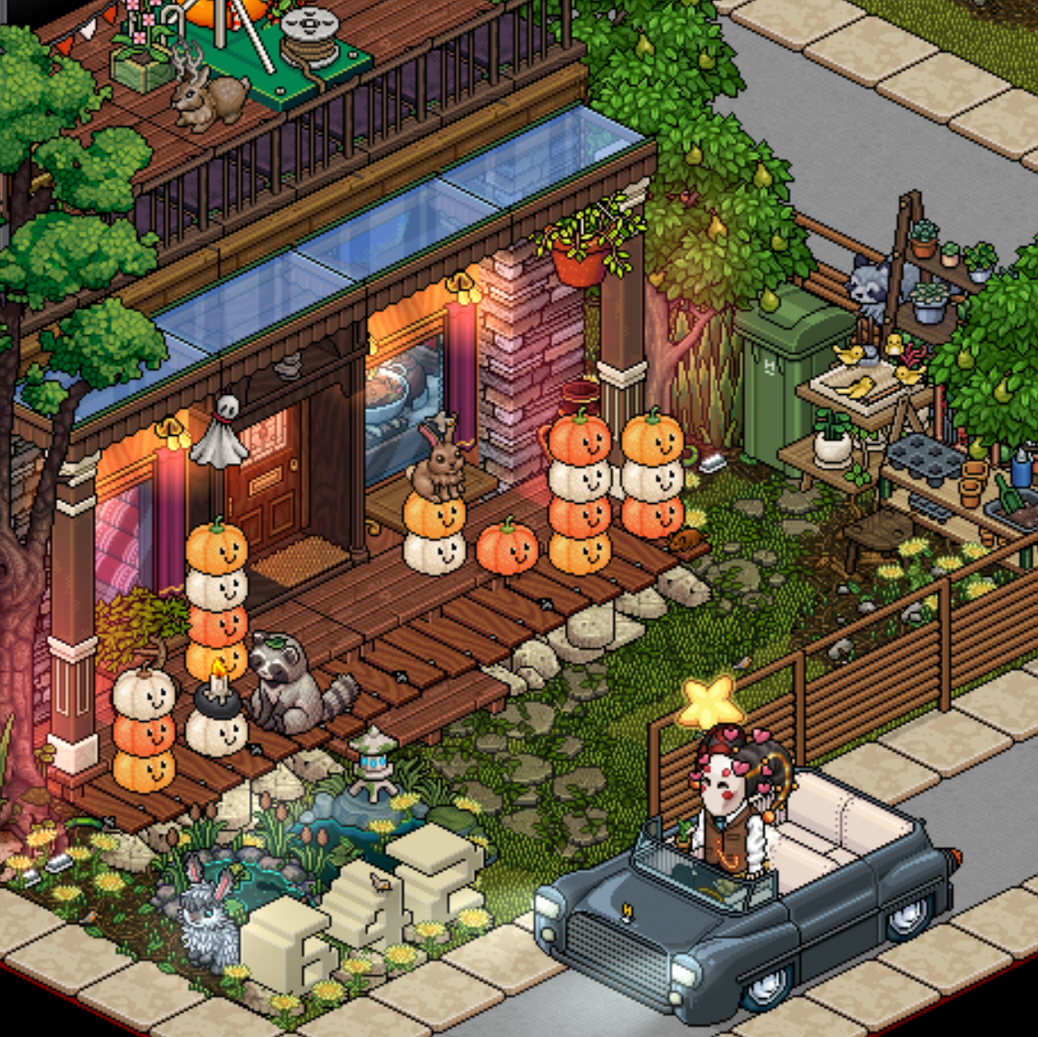 Pumpkins are up! Are we all excited for Habboween?