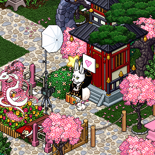 #CherryBlossomFestival2025