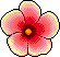 Pink Flower