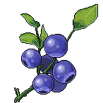 Blueberry - Right